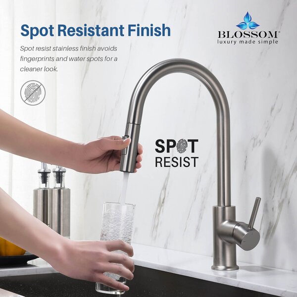 Blossom Pull Down Kitchen Faucet Reviews Wayfair